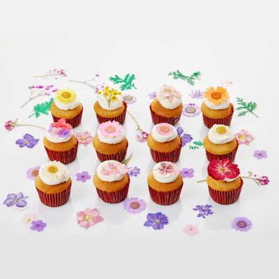 Bunnie Garden Vegan Mini-Cupcakes Assortment